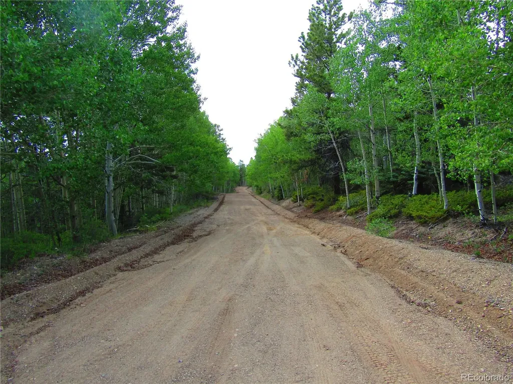 Lot 6093 Forbes Road San Luis CO 81152