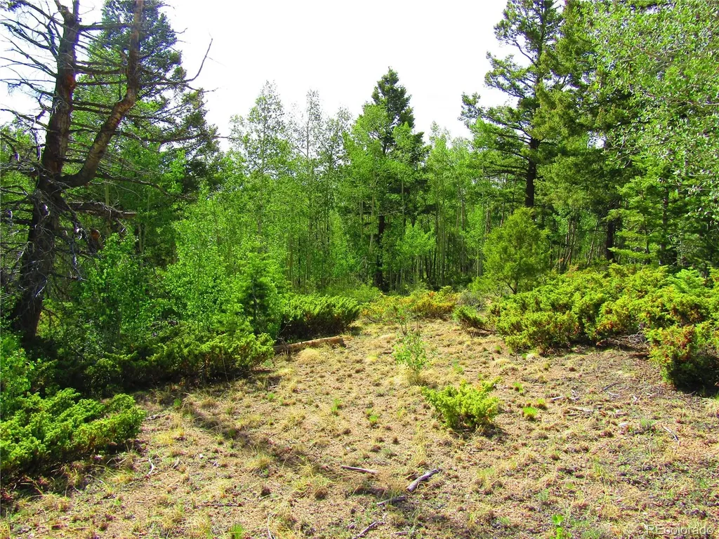 Lot 6093 Forbes Road San Luis CO 81152
