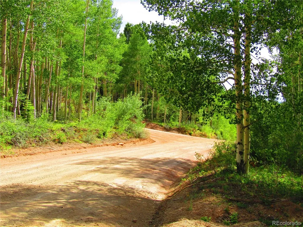 Lot 6093 Forbes Road San Luis CO 81152