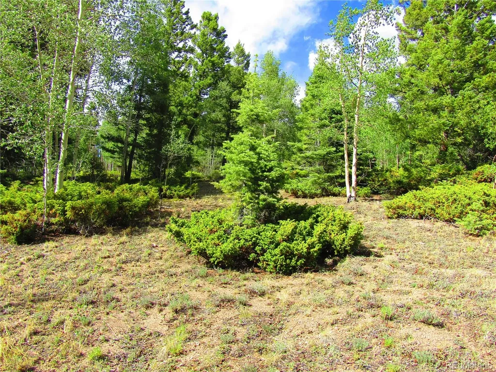 Lot 6093 Forbes Road San Luis CO 81152