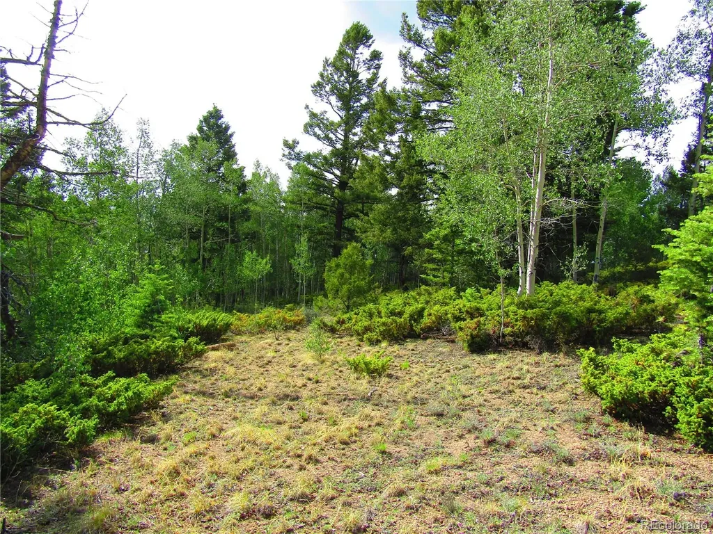 Lot 6093 Forbes Road San Luis CO 81152
