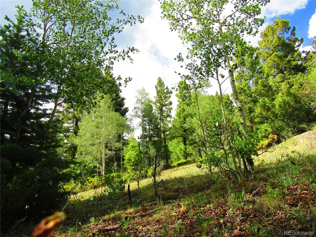 Lot 6093 Forbes Road San Luis CO 81152