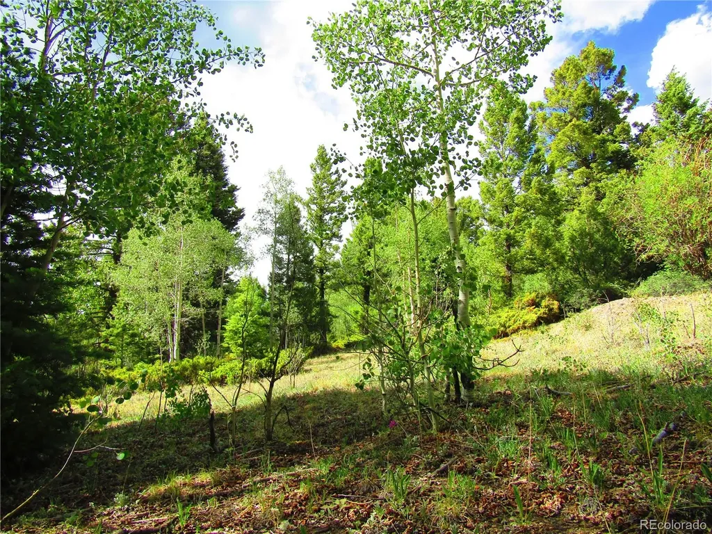 Lot 6093 Forbes Road San Luis CO 81152