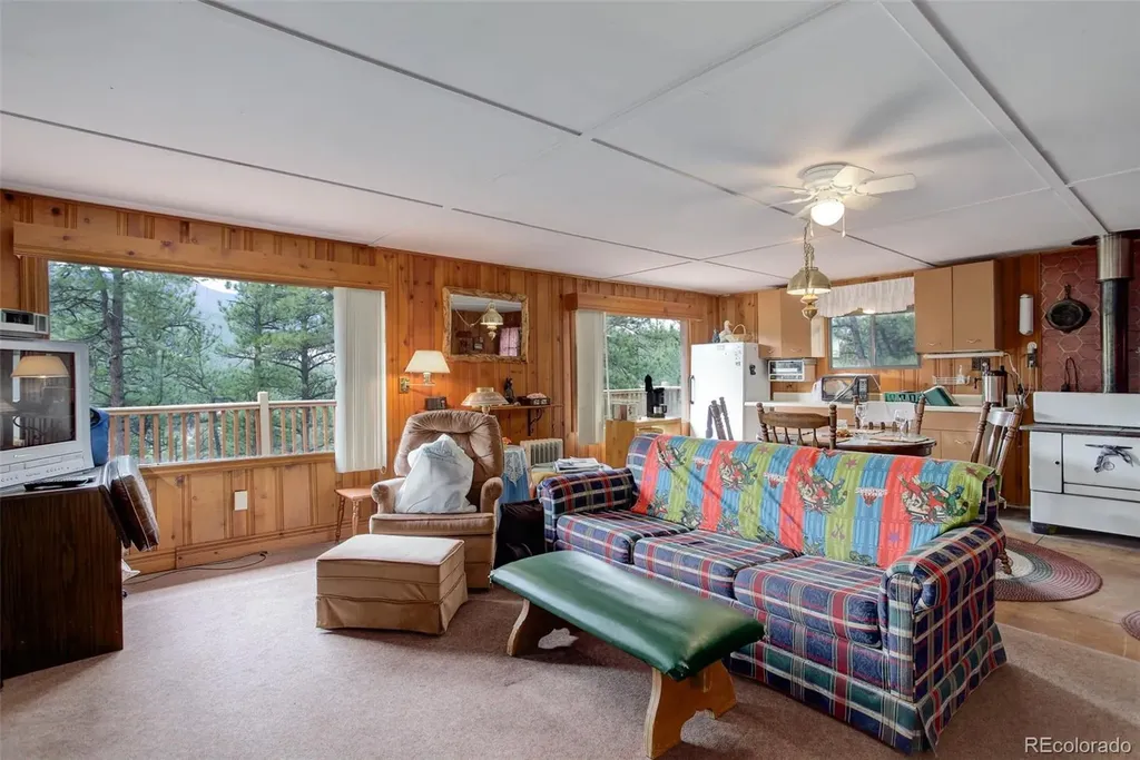 307 Virginia Road Bailey CO 80421