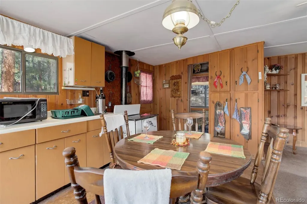 307 Virginia Road Bailey CO 80421