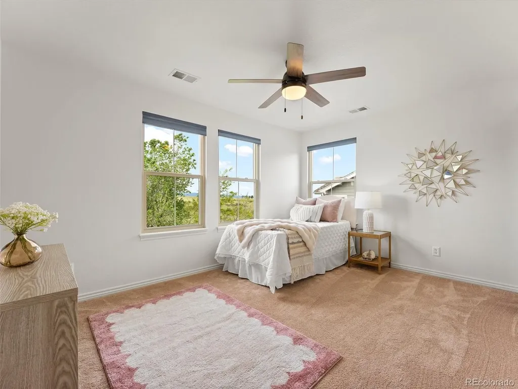 3091 Craig Court Castle Rock CO 80109