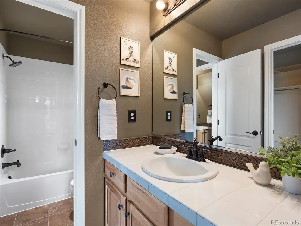 3091 Craig Court Castle Rock CO 80109