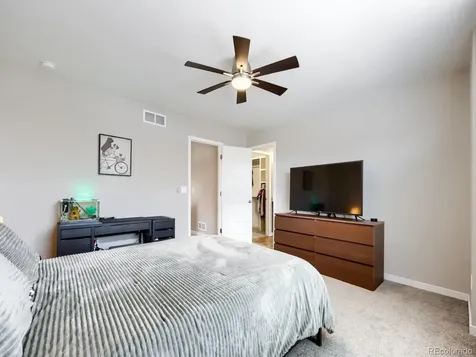 4388 Vindaloo Drive Castle Rock CO 80109