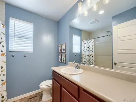 4388 Vindaloo Drive Castle Rock CO 80109