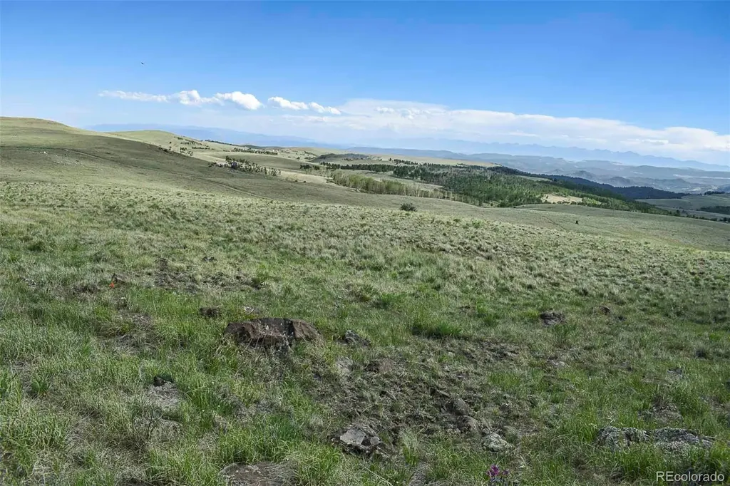 00 Bear Cat Road Guffey CO 80820