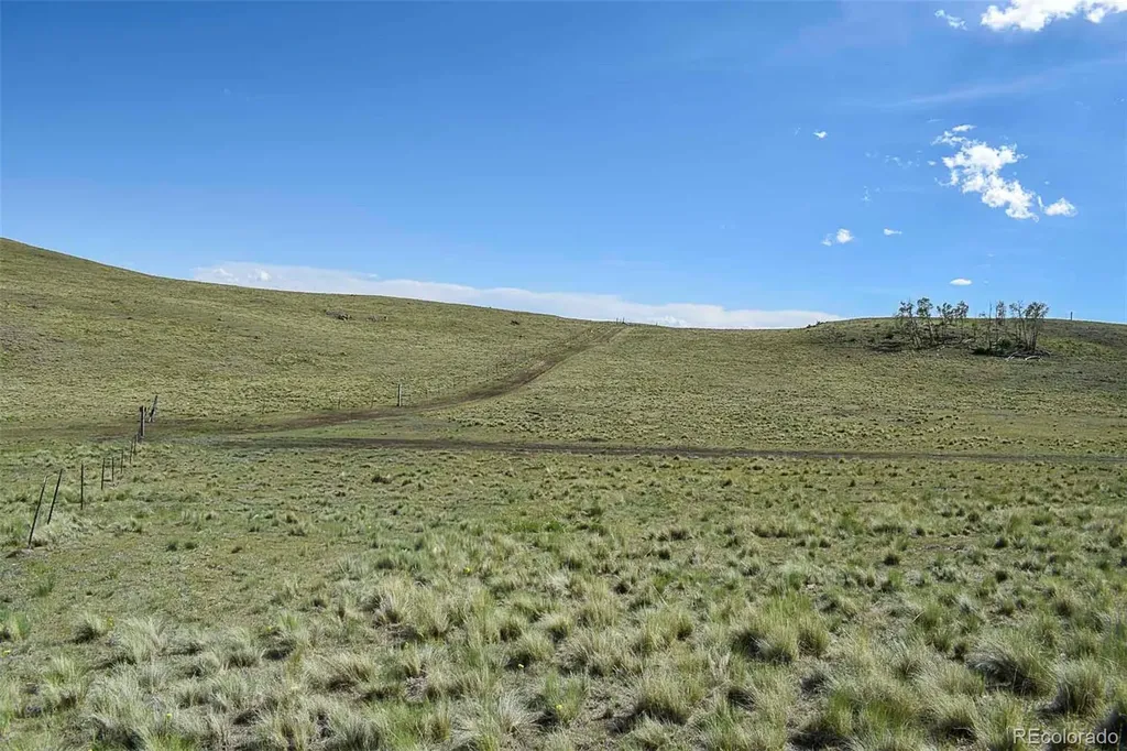 00 Bear Cat Road Guffey CO 80820