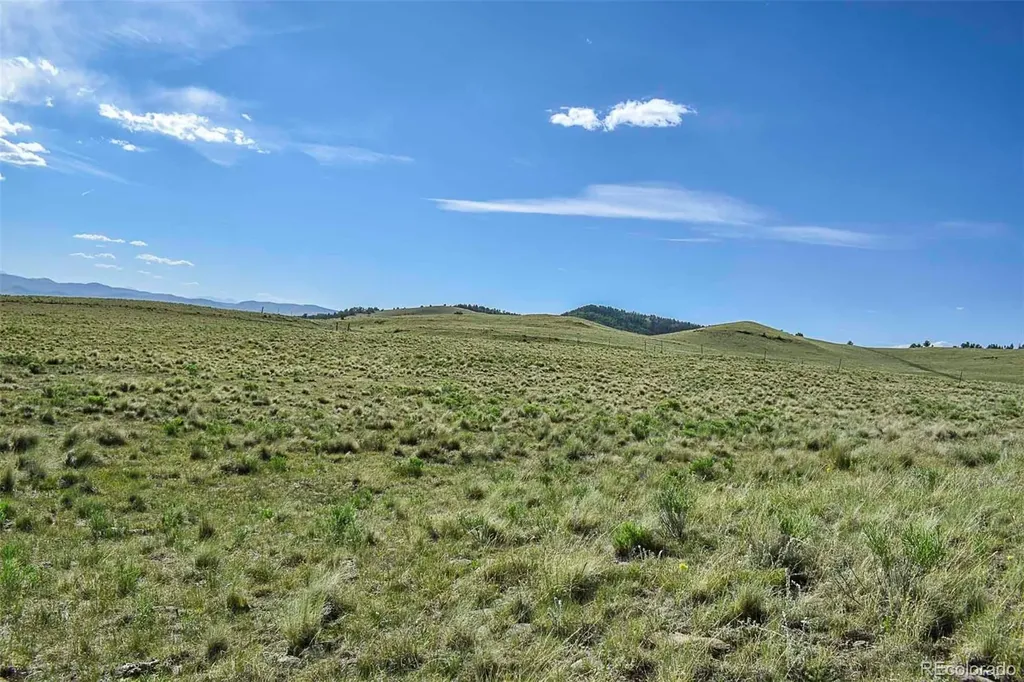 00 Bear Cat Road Guffey CO 80820