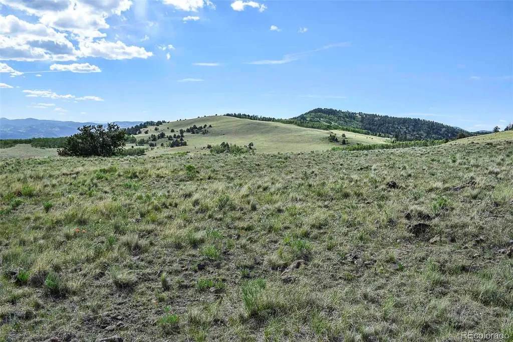 00 Bear Cat Road Guffey CO 80820
