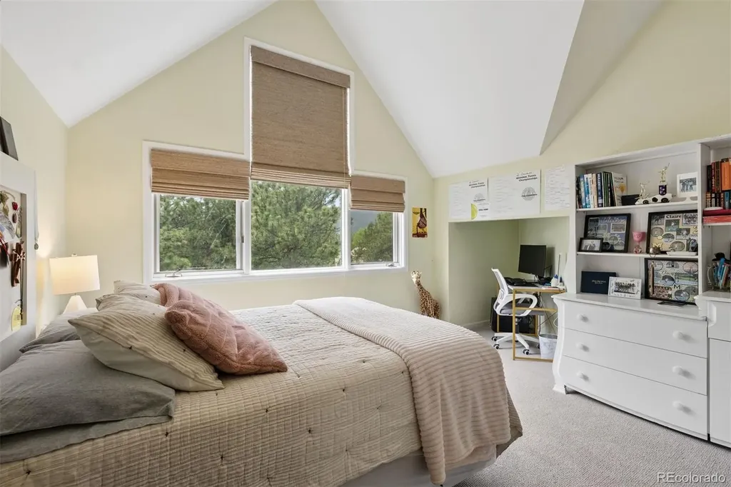1917 Bryce Court Evergreen CO 80439