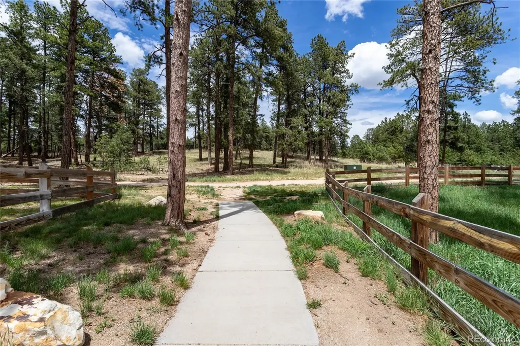 1678 Lazy Cat Lane Monument CO 80132
