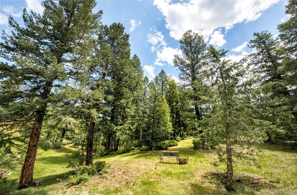 6608 Kiem Road Evergreen CO 80439