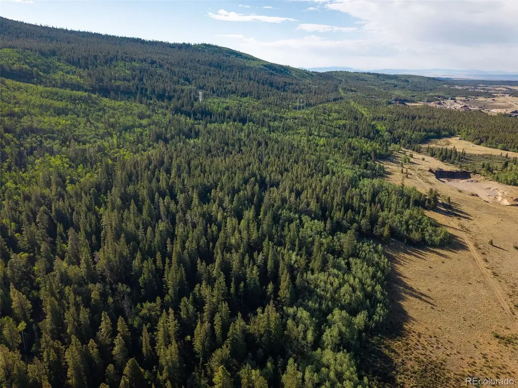 Lot 1 Snow Cap Peaks Road Alma CO 80440