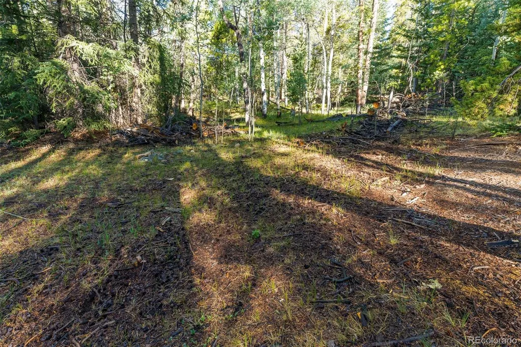 Lot 1 Snow Cap Peaks Road Alma CO 80440