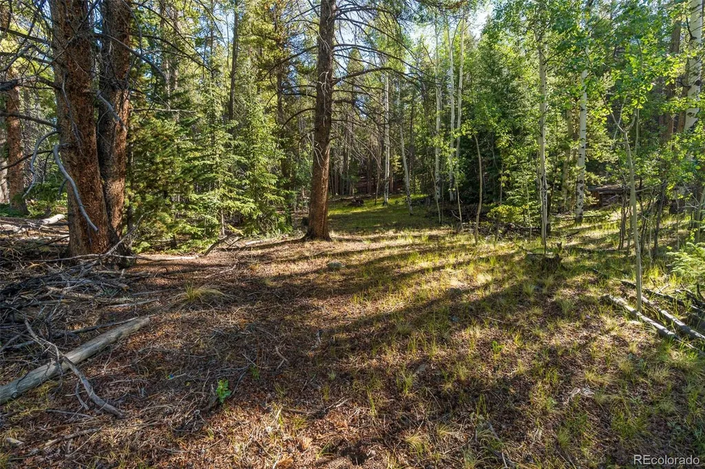 Lot 1 Snow Cap Peaks Road Alma CO 80440