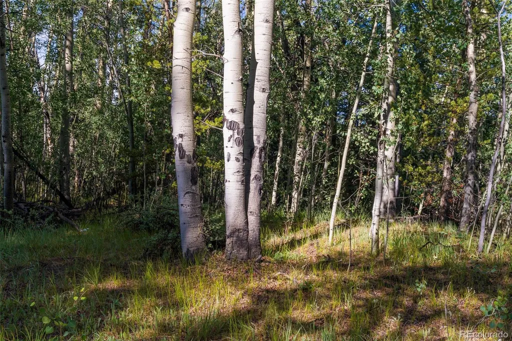 Lot 1 Snow Cap Peaks Road Alma CO 80440