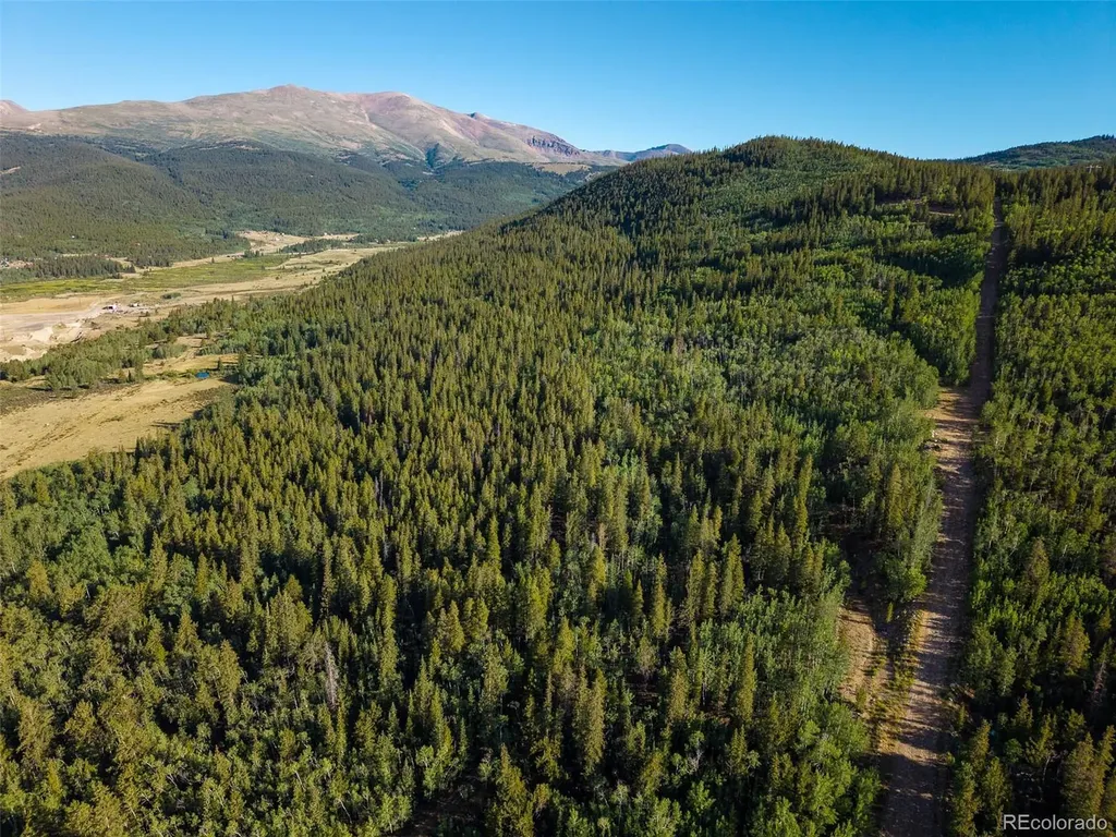 Lot 1 Snow Cap Peaks Road Alma CO 80440
