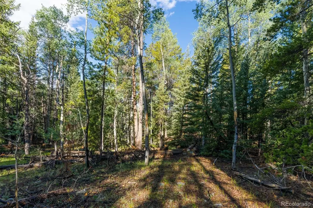 Lot 1 Snow Cap Peaks Road Alma CO 80440