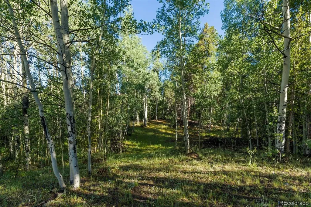 Lot 1 Snow Cap Peaks Road Alma CO 80440