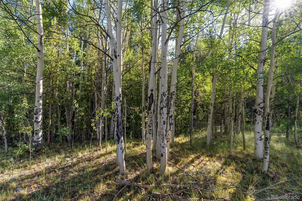 Lot 1 Snow Cap Peaks Road Alma CO 80440
