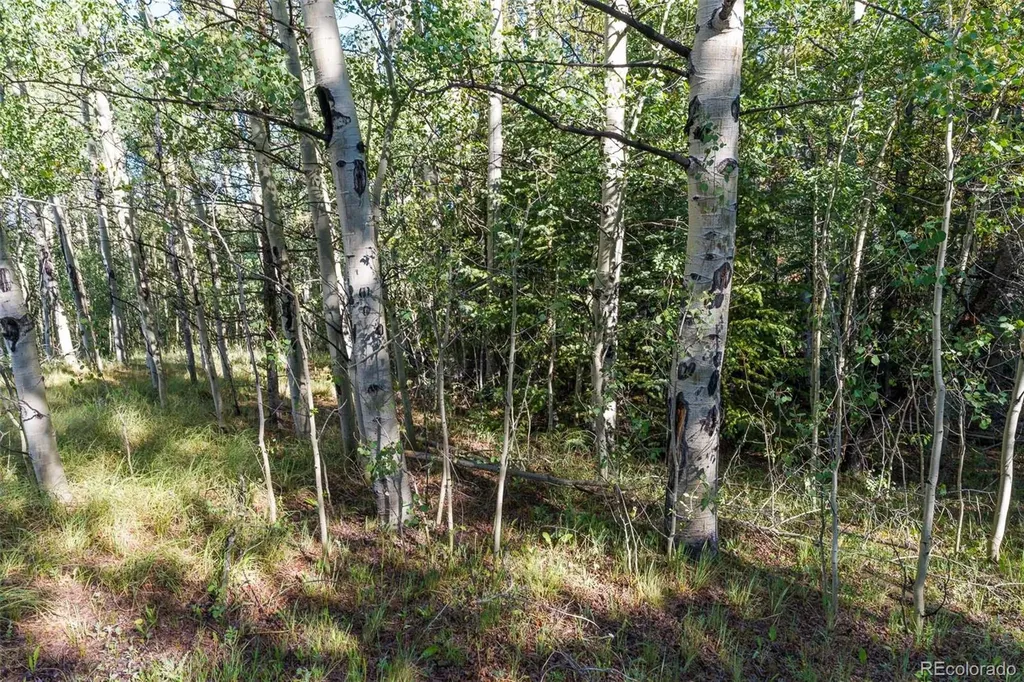 Lot 1 Snow Cap Peaks Road Alma CO 80440