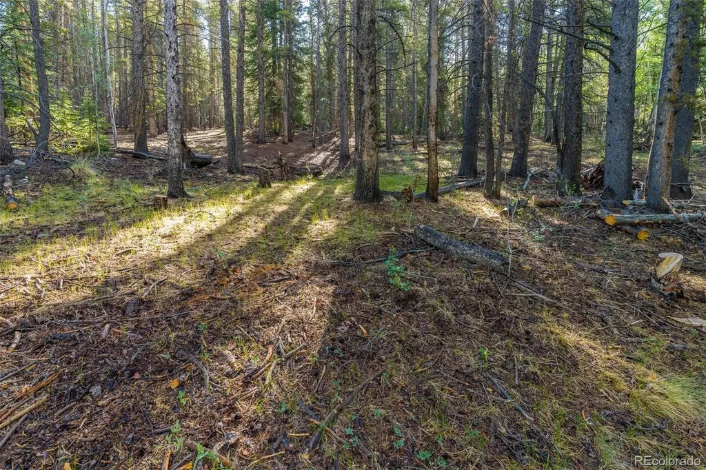 Lot 1 Snow Cap Peaks Road Alma CO 80440