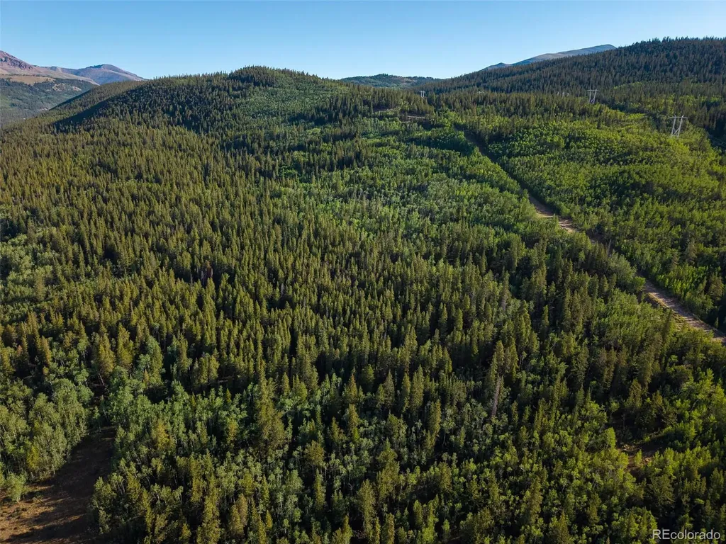 Lot 1 Snow Cap Peaks Road Alma CO 80440