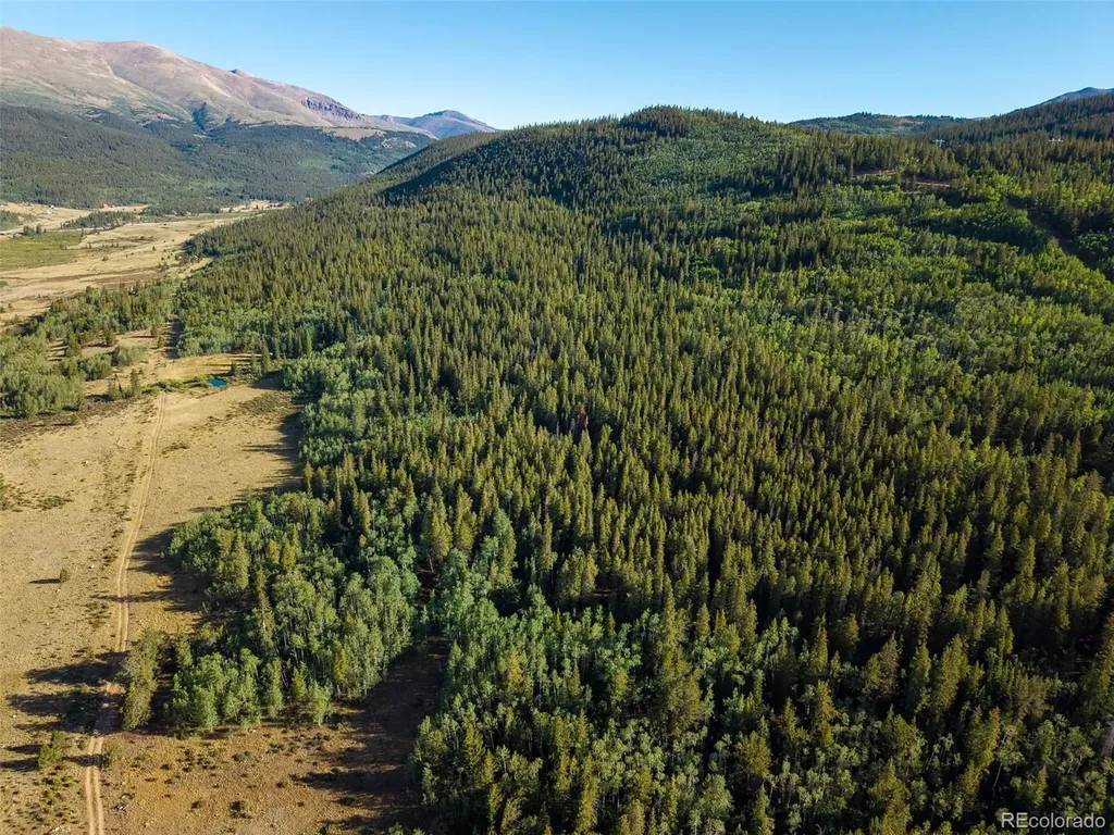 Lot 1 Snow Cap Peaks Road Alma CO 80440