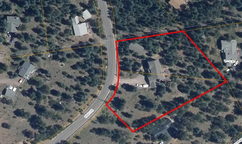 6252 S King Drive Evergreen CO 80439