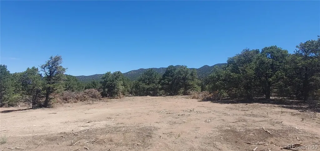 Lot 1321 Michaels Road San Luis CO 81152