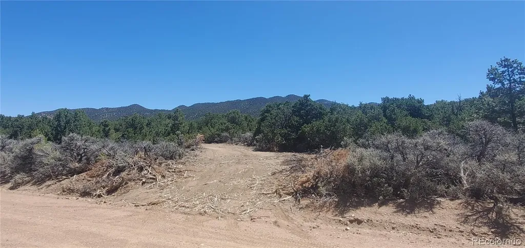 Lot 1321 Michaels Road San Luis CO 81152
