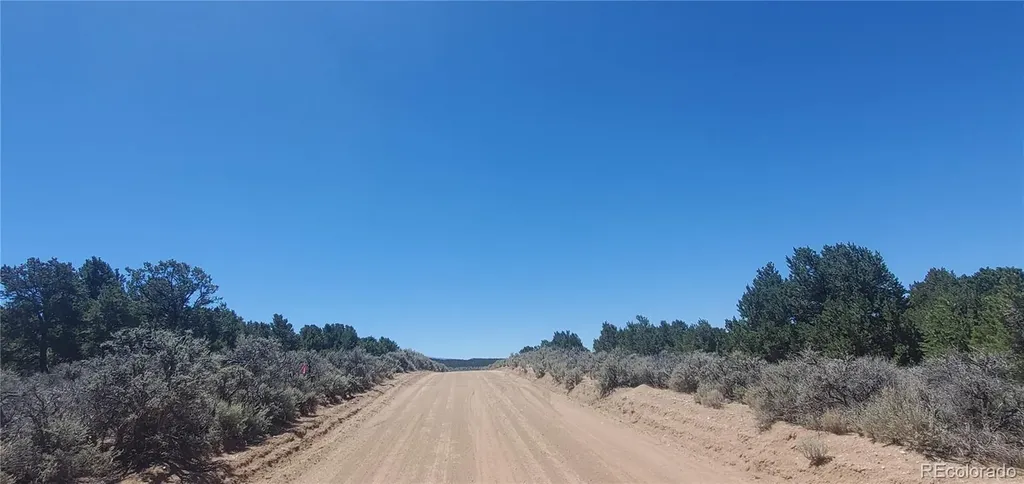 Lot 1321 Michaels Road San Luis CO 81152