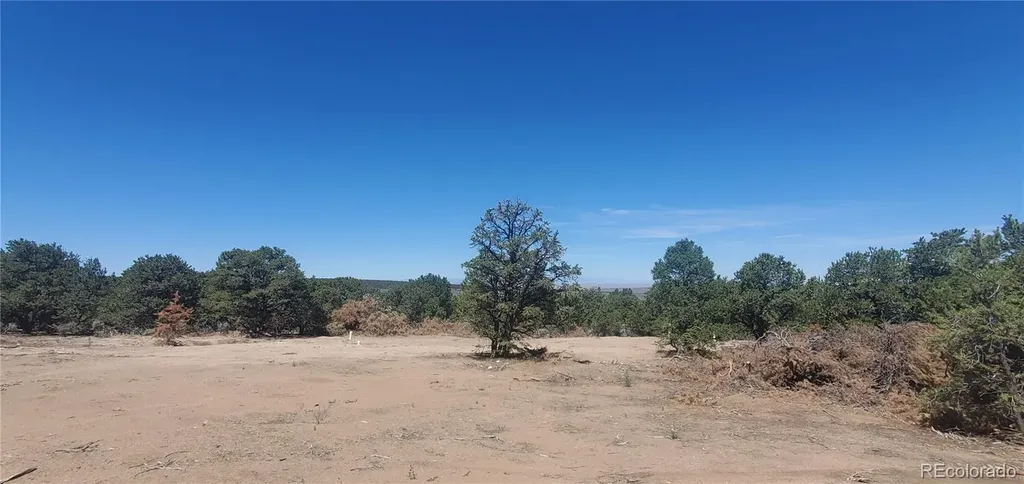 Lot 1321 Michaels Road San Luis CO 81152