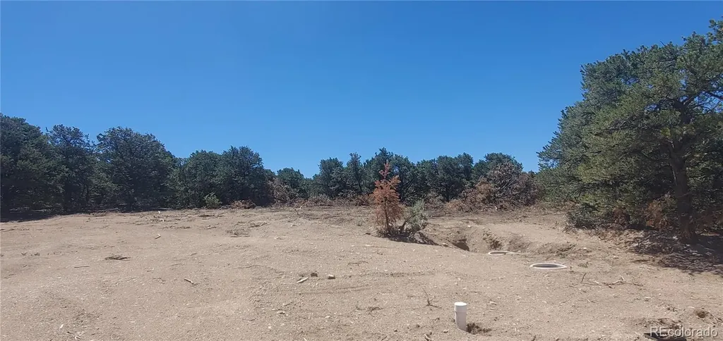 Lot 1321 Michaels Road San Luis CO 81152