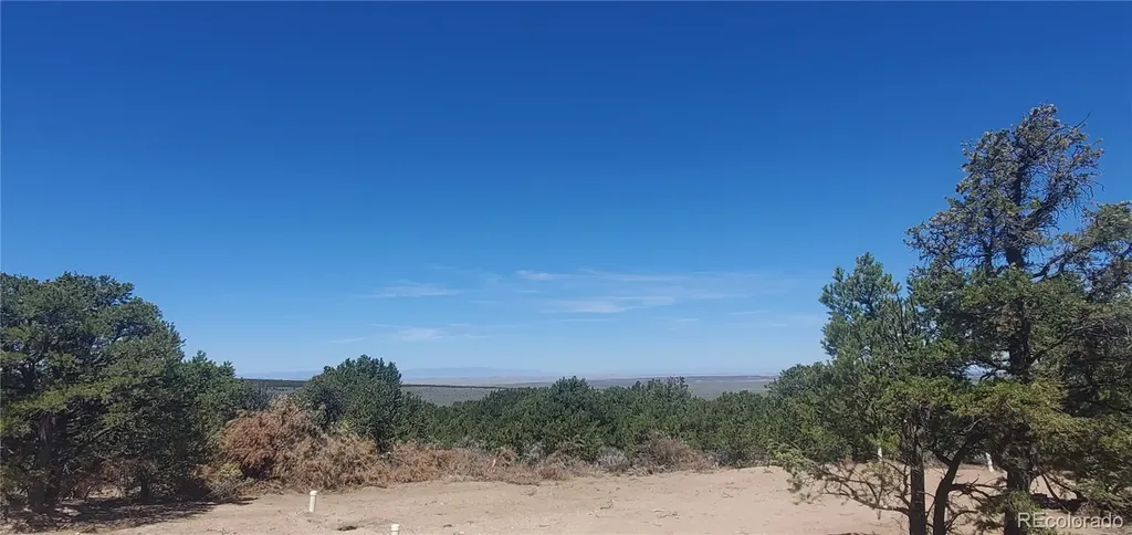Lot 1321 Michaels Road San Luis CO 81152