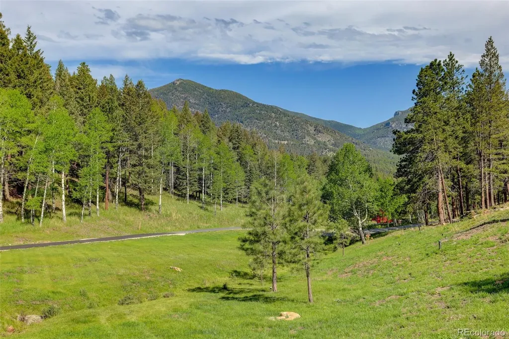 338 Red Lily Place Evergreen CO 80439
