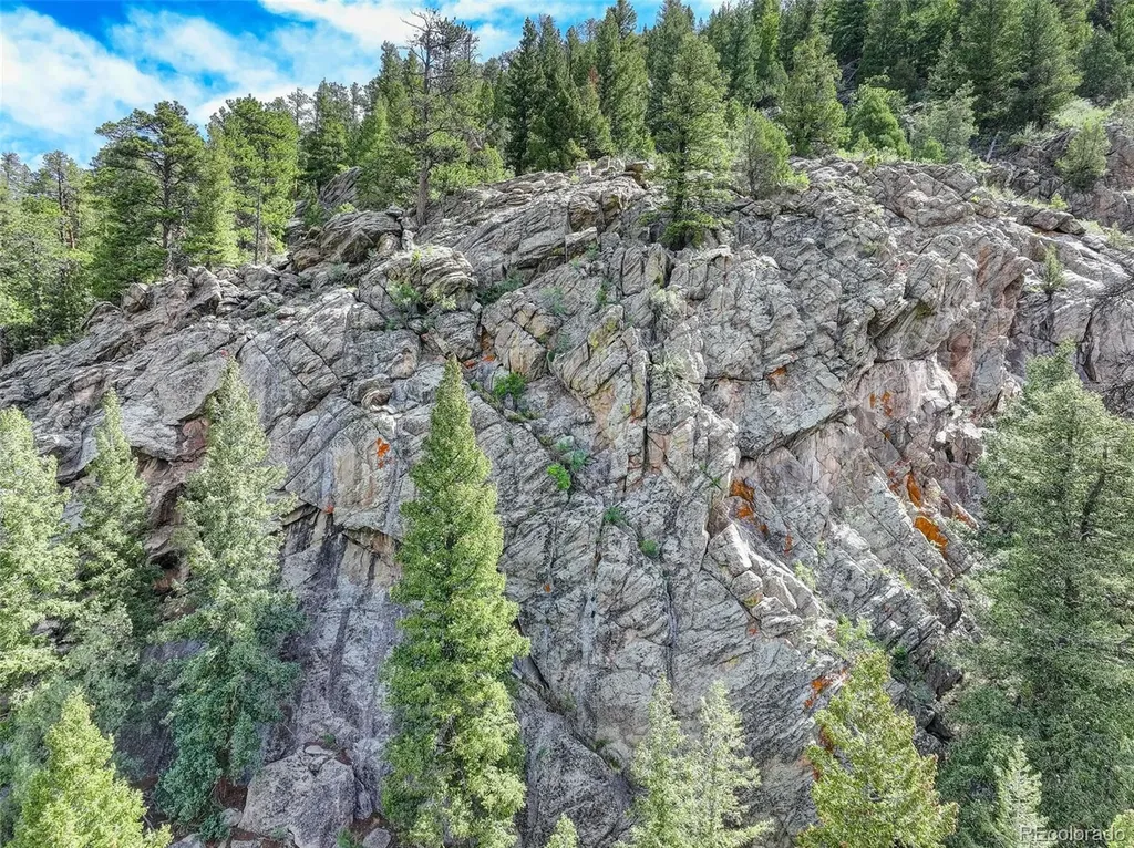 338 Red Lily Place Evergreen CO 80439