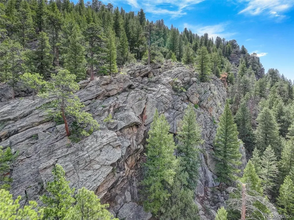 338 Red Lily Place Evergreen CO 80439