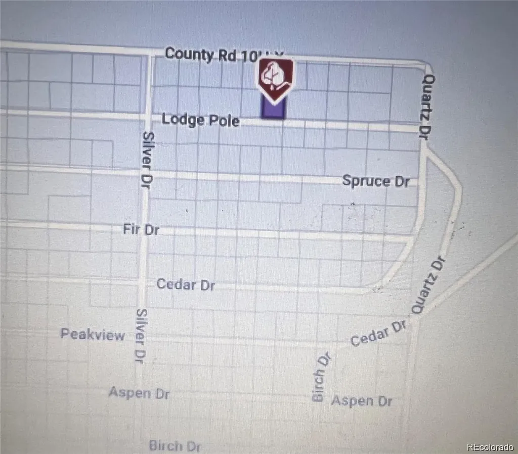123 Lodgepole Drive Leadville CO 80461