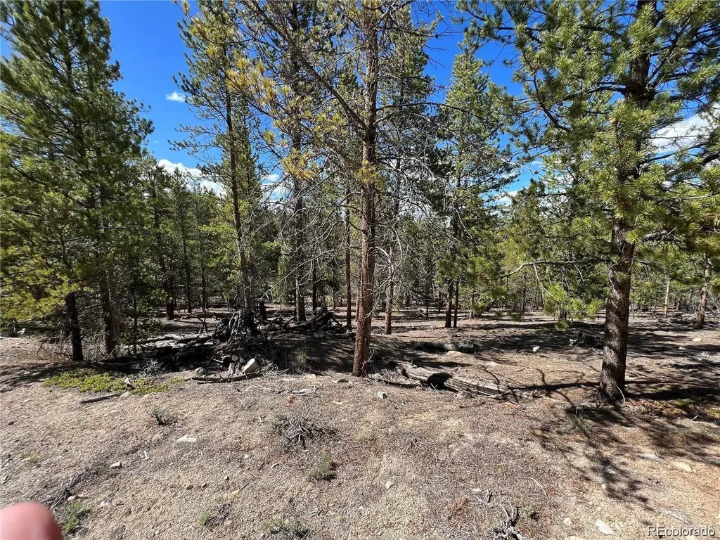 123 Lodgepole Drive Leadville CO 80461