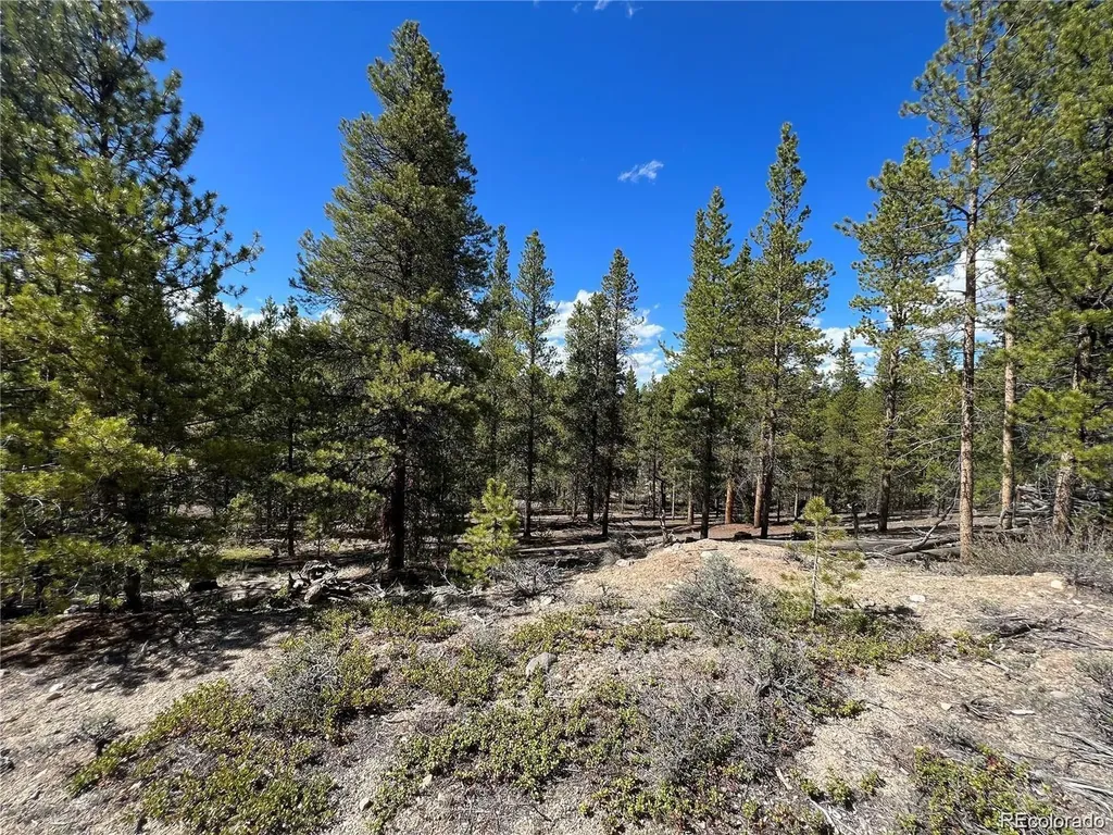 123 Lodgepole Drive Leadville CO 80461