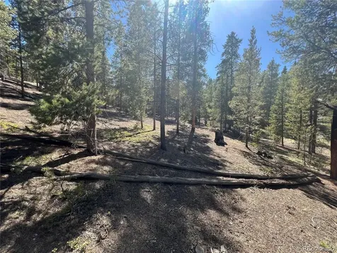 123 Lodgepole Drive Leadville CO 80461