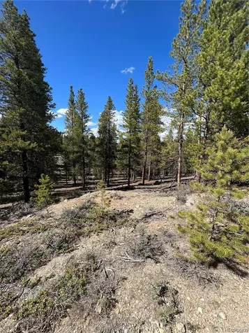123 Lodgepole Drive Leadville CO 80461