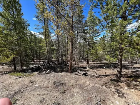 123 Lodgepole Drive Leadville CO 80461