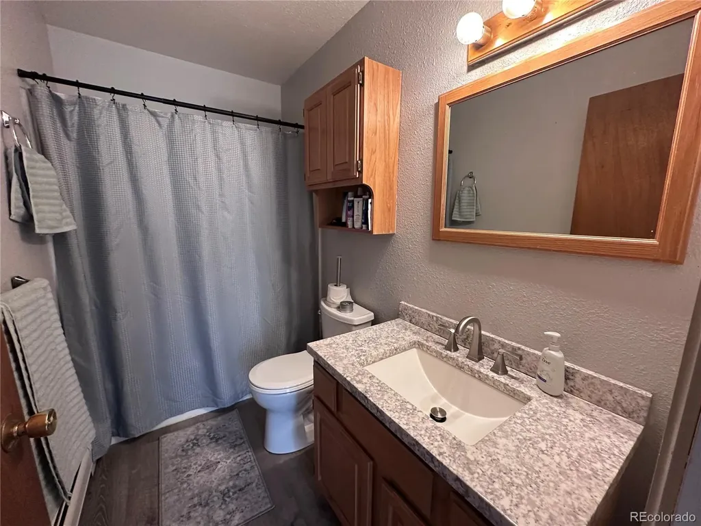 1750 & 1754 Clear Creek Drive Georgetown CO 80444