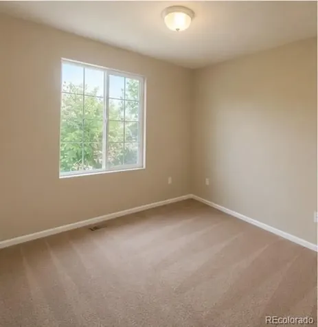 4919 Rusty Nail Point Colorado Springs CO 80916